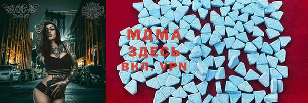 PSILOCYBIN Богданович