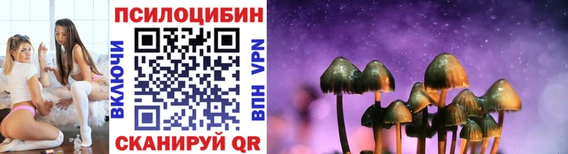 наркота  Билибино  Галлюциногенные грибы мицелий 